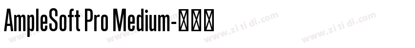 AmpleSoft Pro Medium字体转换